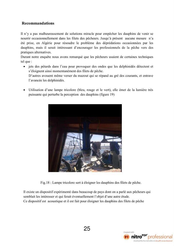 Impact de la déprédation des dauphins et interaction pêcherie-cétacés au niveau du port d\'Alger
