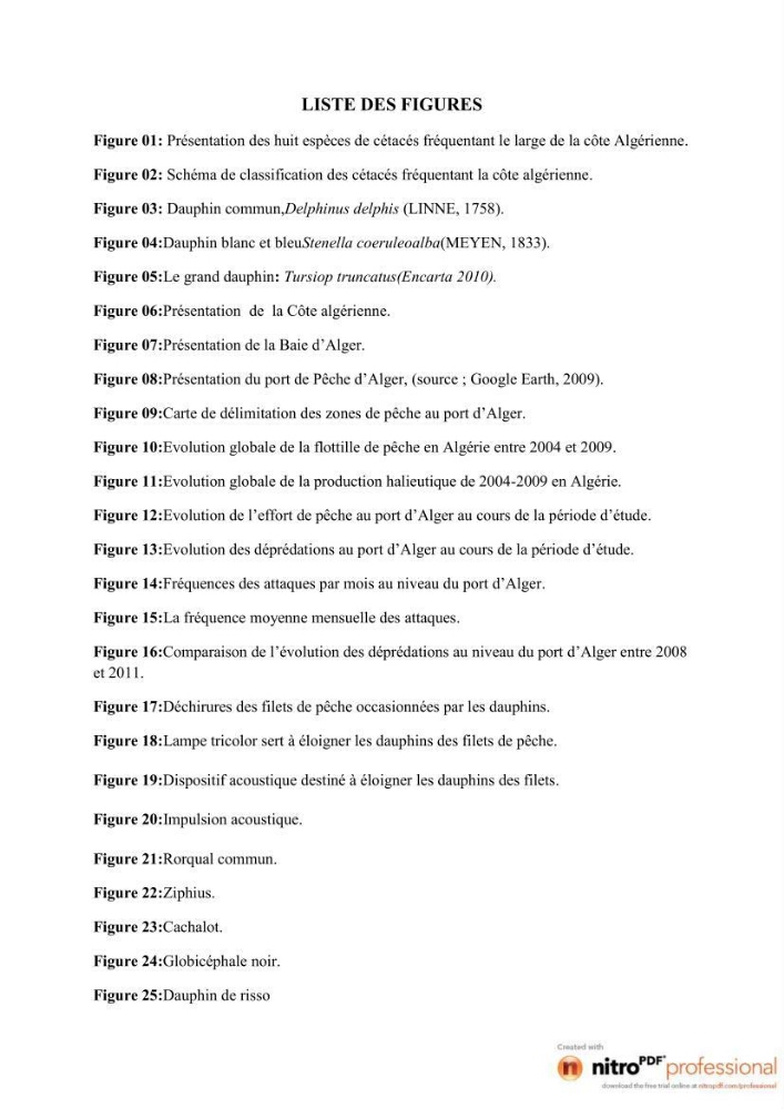 Impact de la déprédation des dauphins et interaction pêcherie-cétacés au niveau du port d\'Alger
