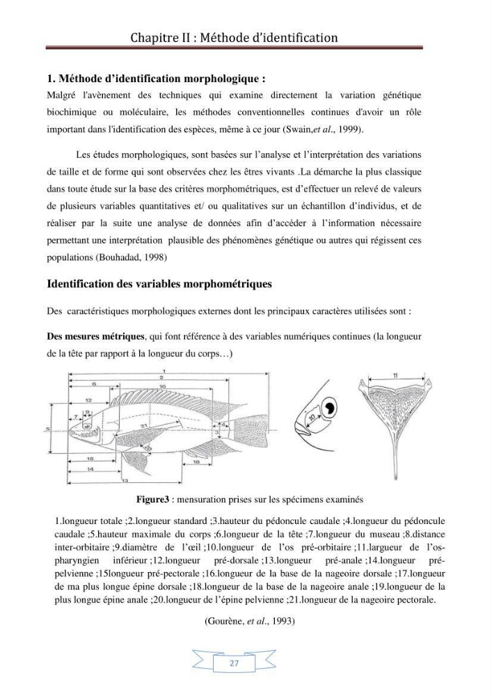 Recherche bibliographique sur les techniques de génétique moléculaire et leurs applications dans l\'identification des especes de poissons :