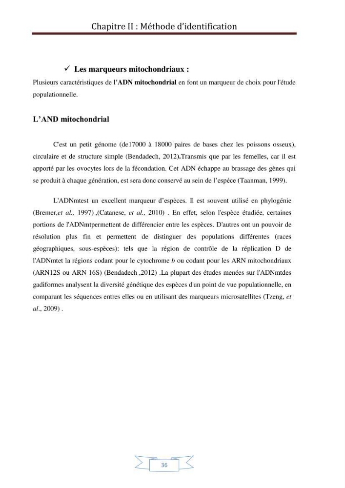 Recherche bibliographique sur les techniques de génétique moléculaire et leurs applications dans l\'identification des especes de poissons :