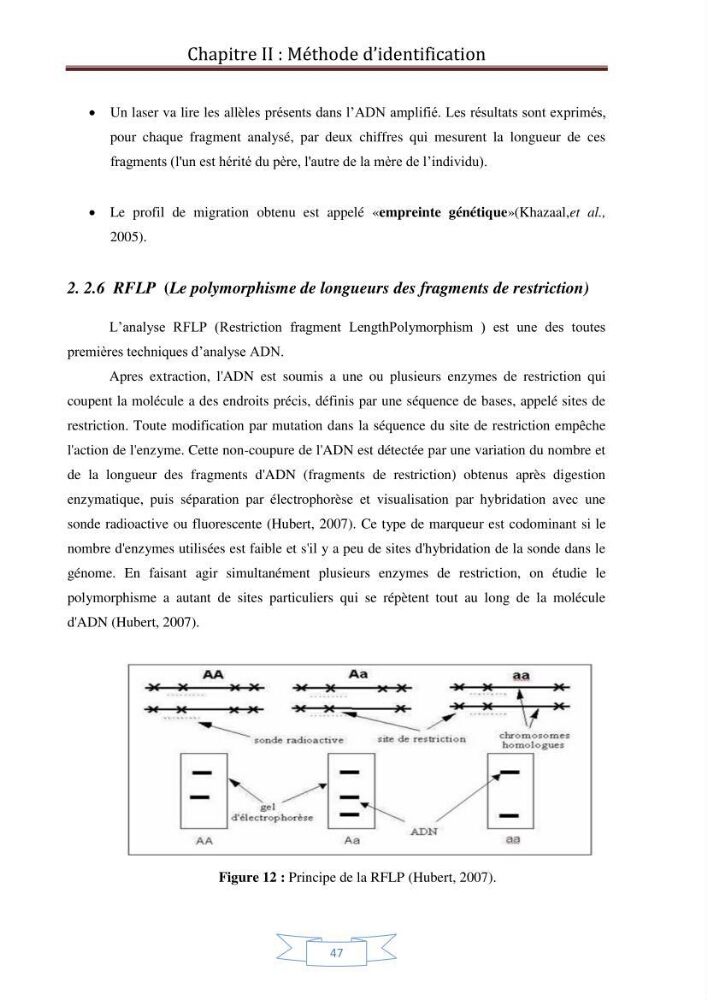 Recherche bibliographique sur les techniques de génétique moléculaire et leurs applications dans l\'identification des especes de poissons :