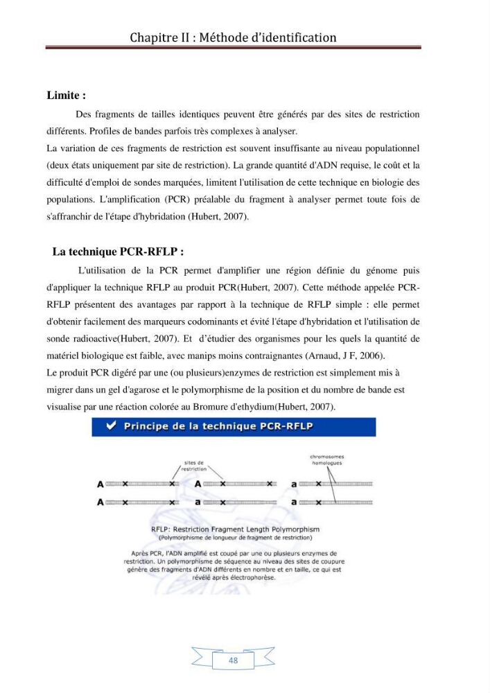 Recherche bibliographique sur les techniques de génétique moléculaire et leurs applications dans l\'identification des especes de poissons :