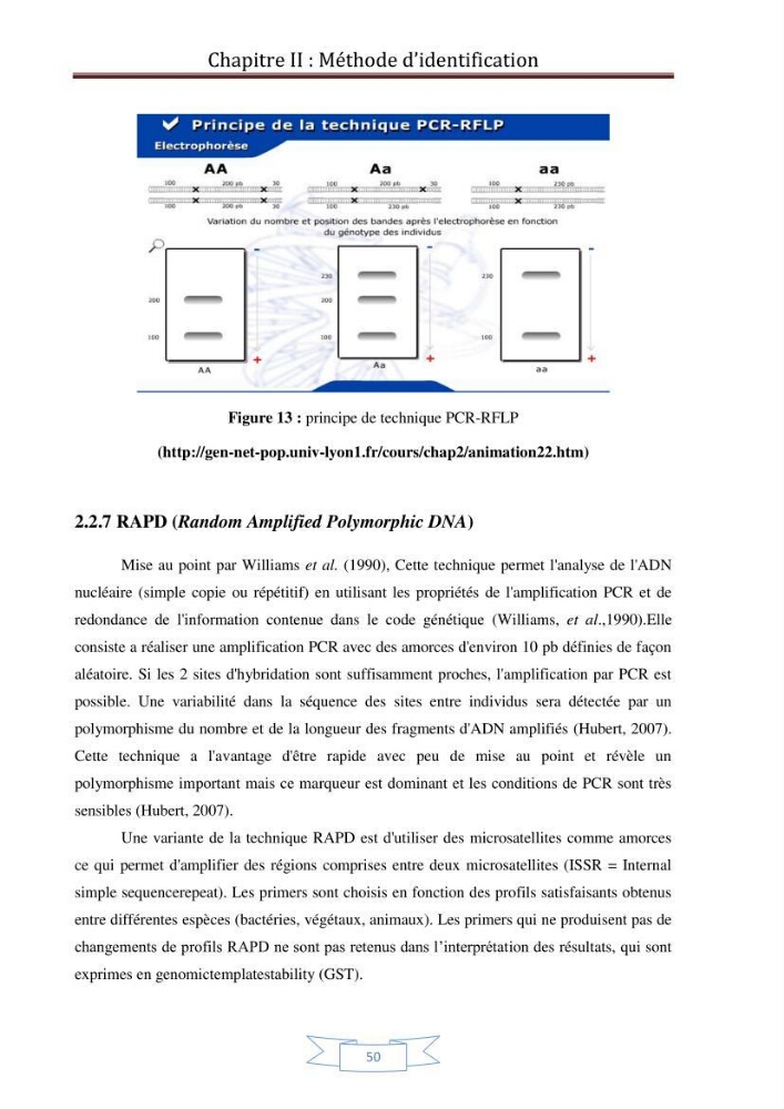 Recherche bibliographique sur les techniques de génétique moléculaire et leurs applications dans l\'identification des especes de poissons :