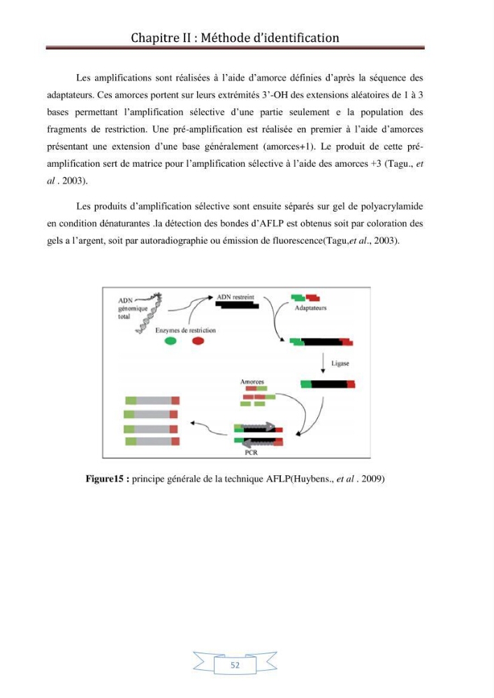 Recherche bibliographique sur les techniques de génétique moléculaire et leurs applications dans l\'identification des especes de poissons :