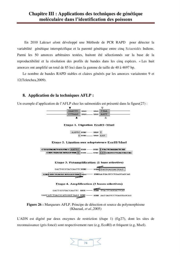 Recherche bibliographique sur les techniques de génétique moléculaire et leurs applications dans l\'identification des especes de poissons :