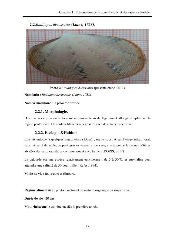 Organisation des populations de Cerastoderma glaucum, Ruditapes decussatus, espèces d’intérêt aquacole dans les élevages extensifs au niveau du lac Mellah (EL Kala).