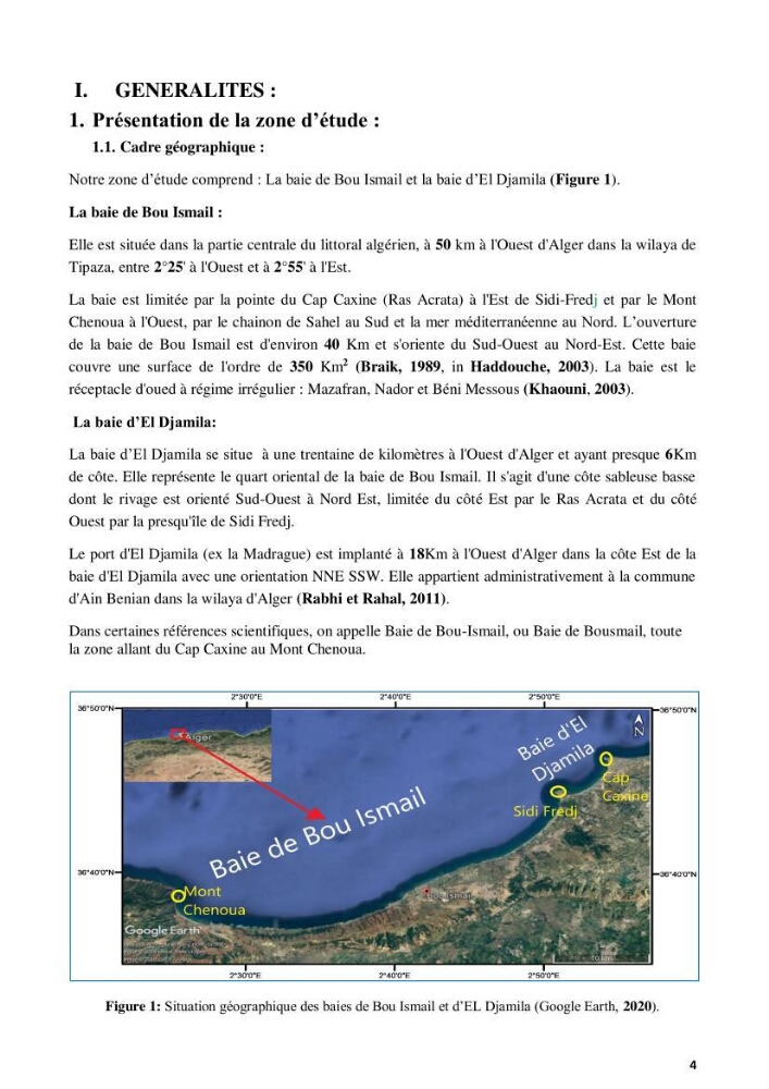 Contribution à l’actualisation de l’inventaire des Chondrichthyens exploités dans les côtes algériennes. Biologie de reproduction , régime alimentaire et exploitation de quelques représentants