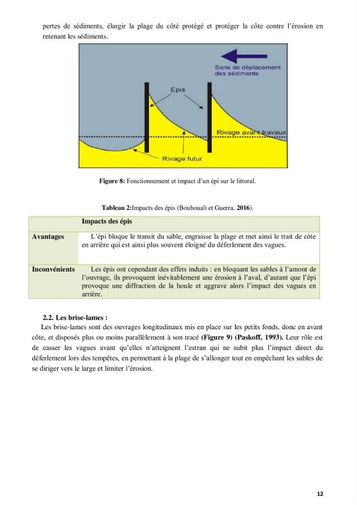 Contribution à l’actualisation de l’inventaire des Chondrichthyens exploités dans les côtes algériennes. Biologie de reproduction , régime alimentaire et exploitation de quelques représentants