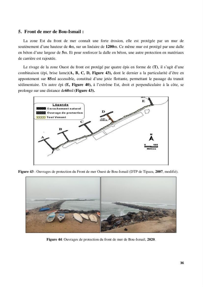 Contribution à l’actualisation de l’inventaire des Chondrichthyens exploités dans les côtes algériennes. Biologie de reproduction , régime alimentaire et exploitation de quelques représentants