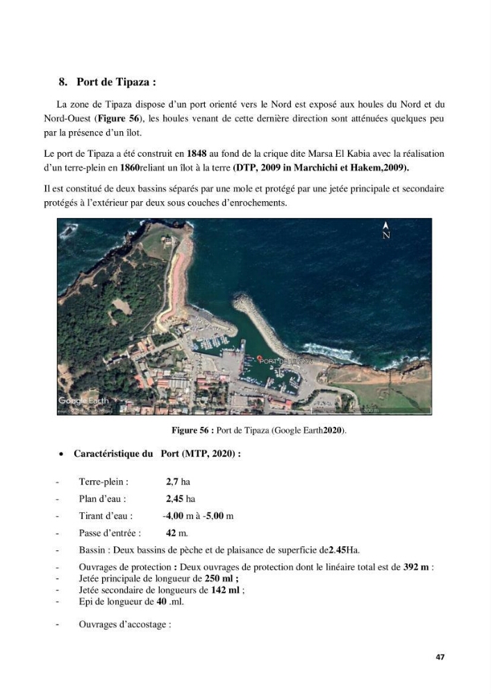 Contribution à l’actualisation de l’inventaire des Chondrichthyens exploités dans les côtes algériennes. Biologie de reproduction , régime alimentaire et exploitation de quelques représentants