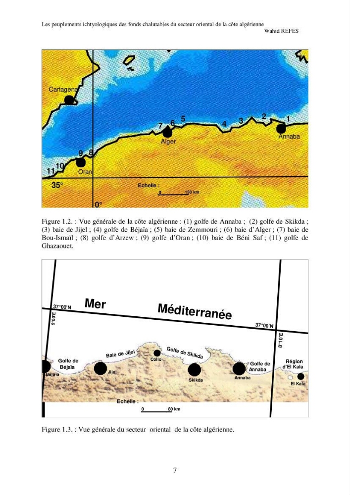 Contribution à la connaissance de la biodiversité des fonds chalutables de la côte algérienne