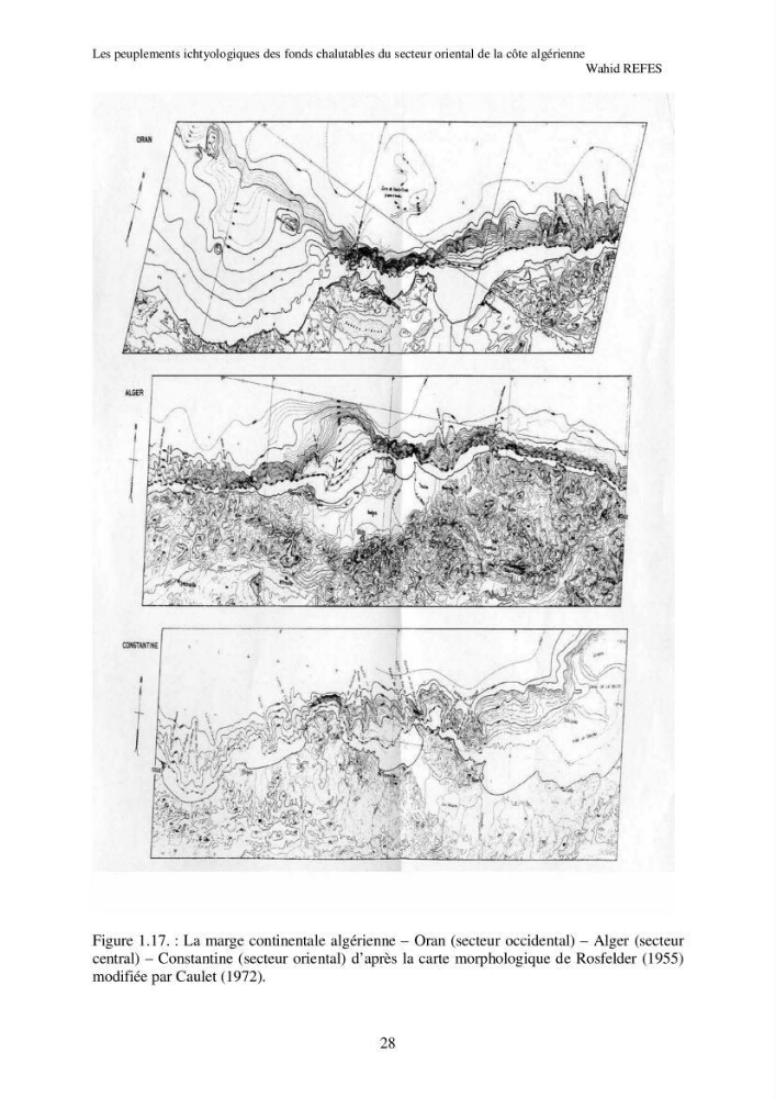 Contribution à la connaissance de la biodiversité des fonds chalutables de la côte algérienne