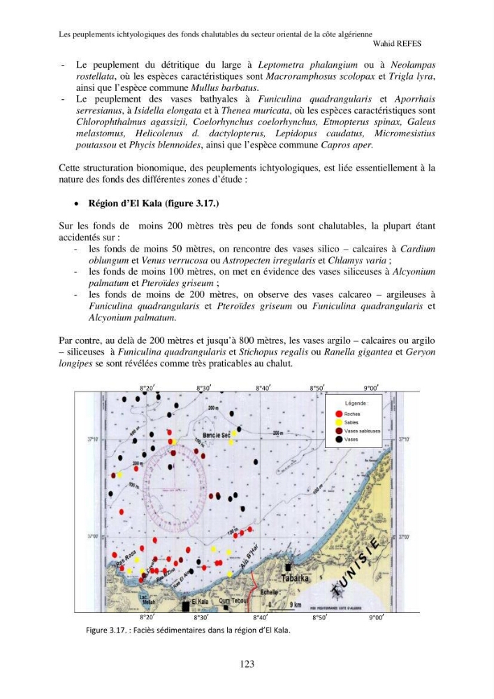 Contribution à la connaissance de la biodiversité des fonds chalutables de la côte algérienne
