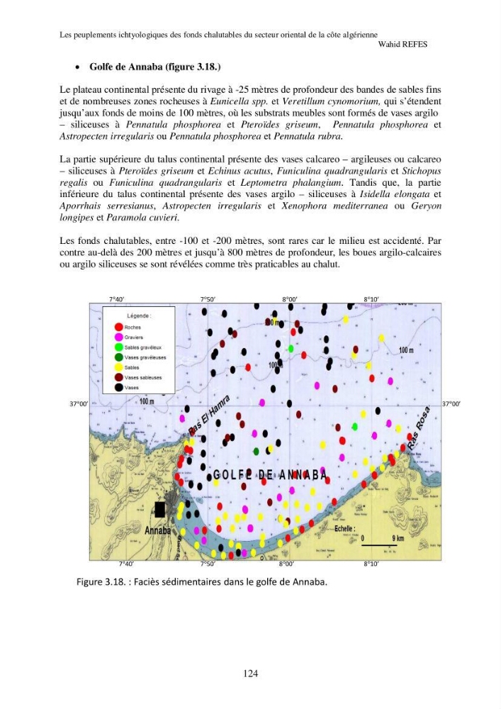 Contribution à la connaissance de la biodiversité des fonds chalutables de la côte algérienne