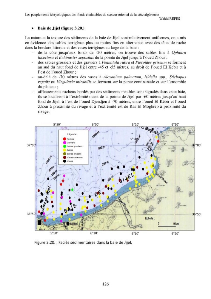 Contribution à la connaissance de la biodiversité des fonds chalutables de la côte algérienne