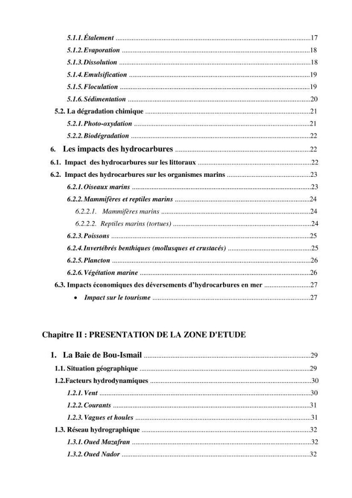 Diagnostic de contamination des eaux du littoral Agerois par les Hydrocarbures