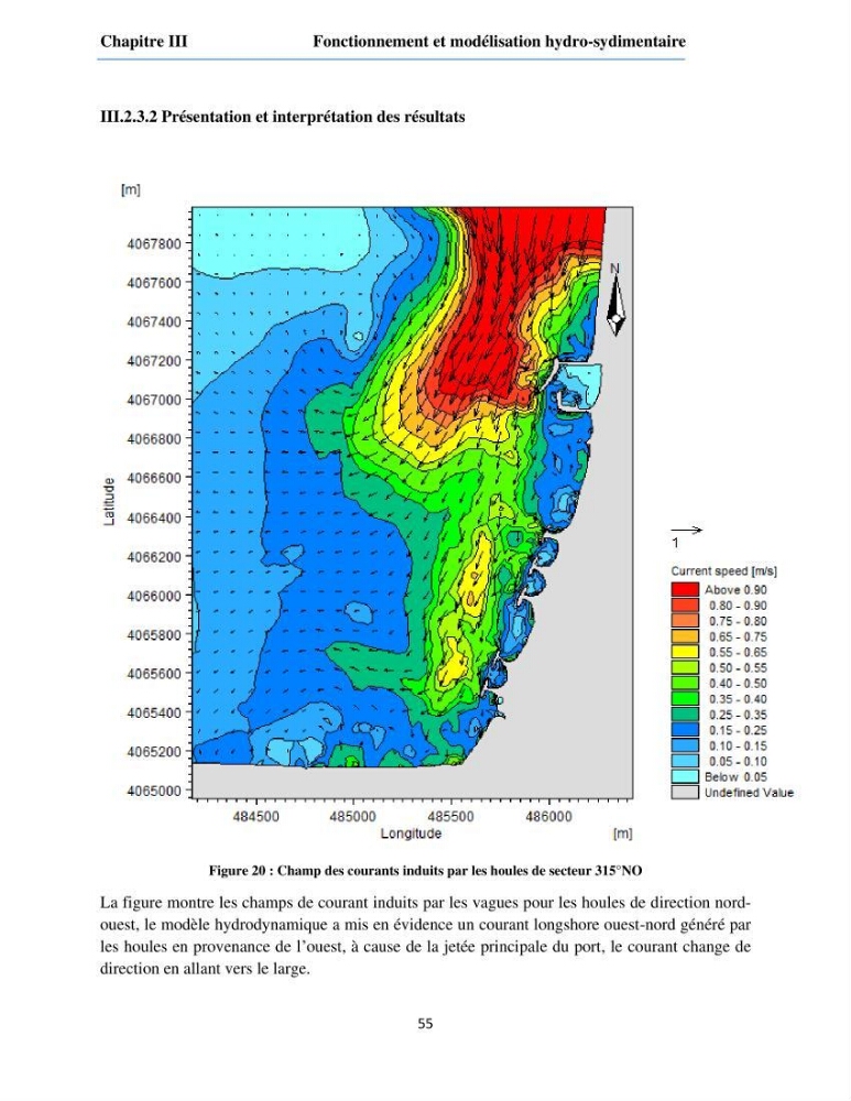 Etude du fonctionnement hydro-sédimentaire De la plage de Palm-Beach