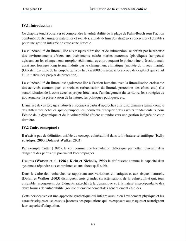 Etude du fonctionnement hydro-sédimentaire De la plage de Palm-Beach