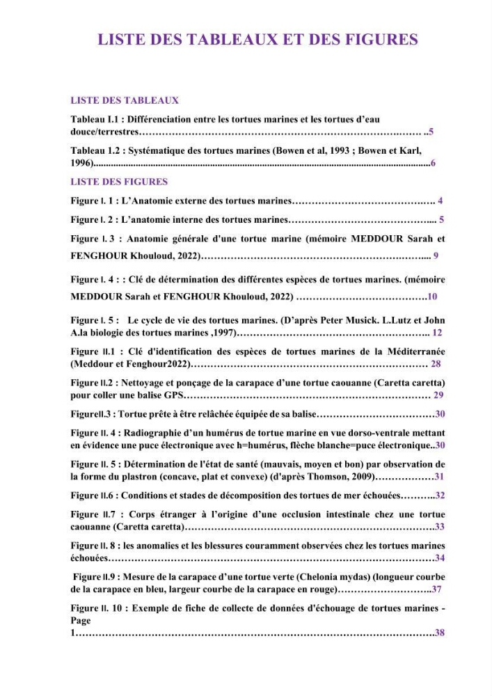 Mise en place d’une base de données pour l’étude des échouages de tortues marines méditerranéennes en Algérie.