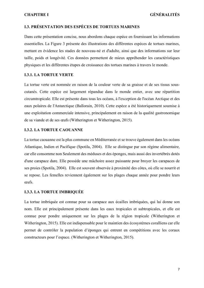 Mise en place d’une base de données pour l’étude des échouages de tortues marines méditerranéennes en Algérie.