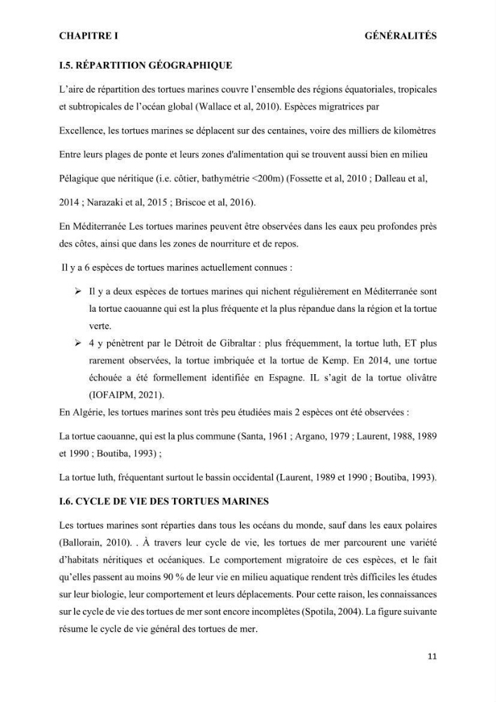 Mise en place d’une base de données pour l’étude des échouages de tortues marines méditerranéennes en Algérie.