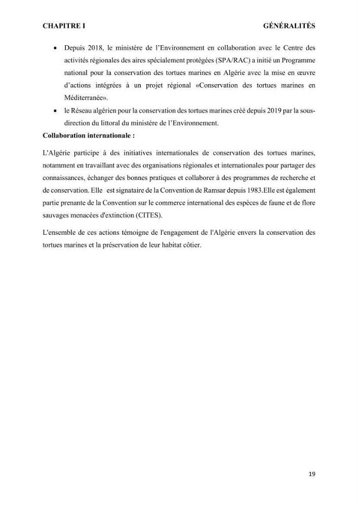 Mise en place d’une base de données pour l’étude des échouages de tortues marines méditerranéennes en Algérie.