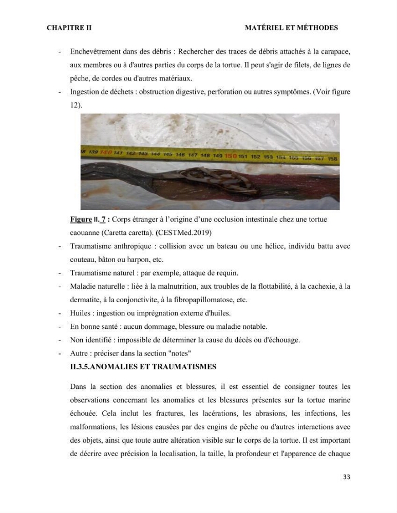Mise en place d’une base de données pour l’étude des échouages de tortues marines méditerranéennes en Algérie.