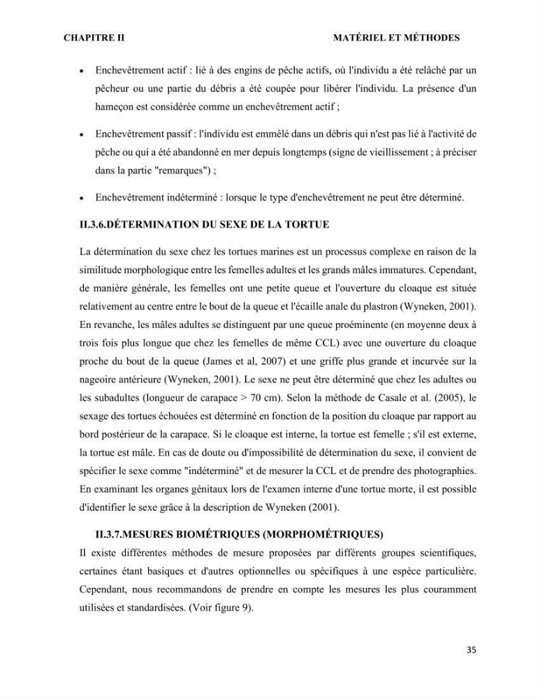 Mise en place d’une base de données pour l’étude des échouages de tortues marines méditerranéennes en Algérie.