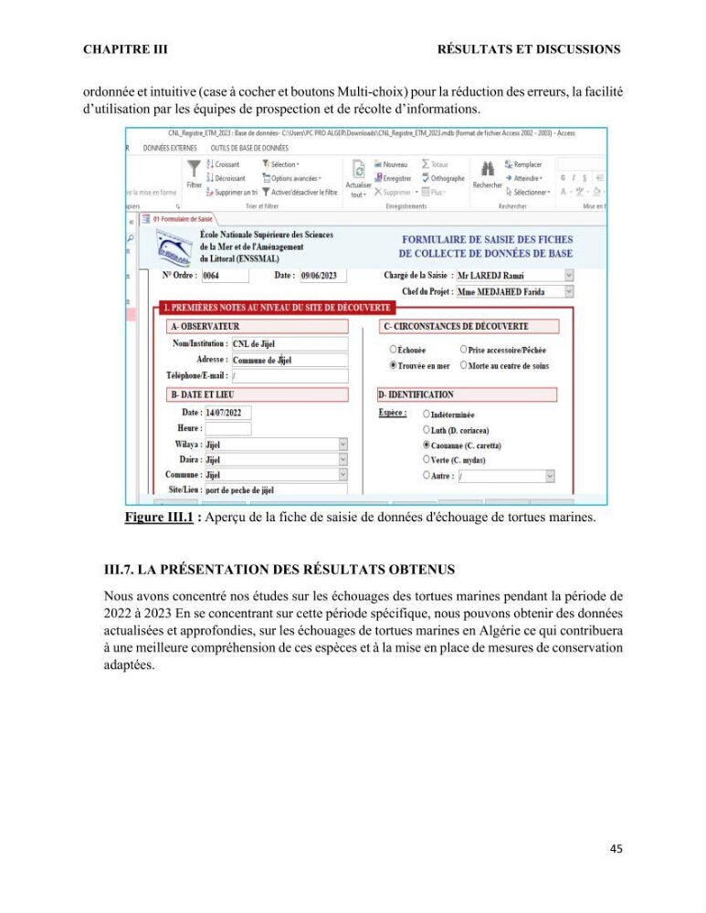Mise en place d’une base de données pour l’étude des échouages de tortues marines méditerranéennes en Algérie.