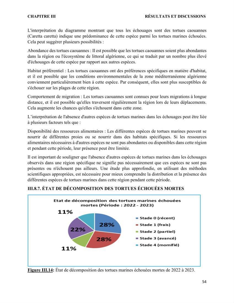 Mise en place d’une base de données pour l’étude des échouages de tortues marines méditerranéennes en Algérie.