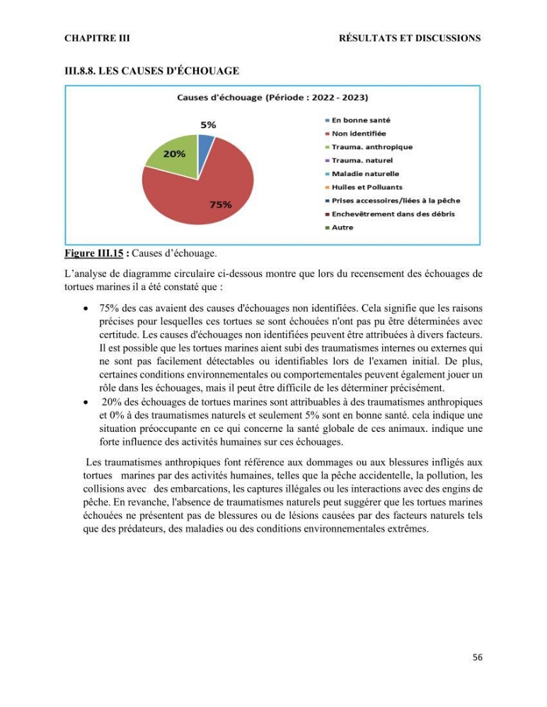 Mise en place d’une base de données pour l’étude des échouages de tortues marines méditerranéennes en Algérie.