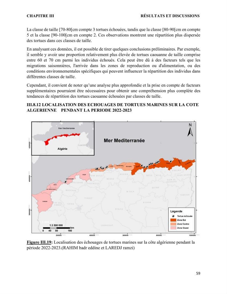 Mise en place d’une base de données pour l’étude des échouages de tortues marines méditerranéennes en Algérie.