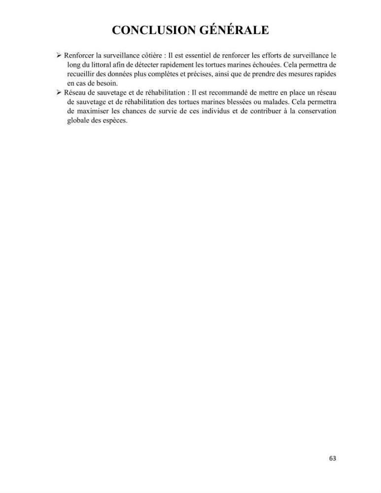 Mise en place d’une base de données pour l’étude des échouages de tortues marines méditerranéennes en Algérie.