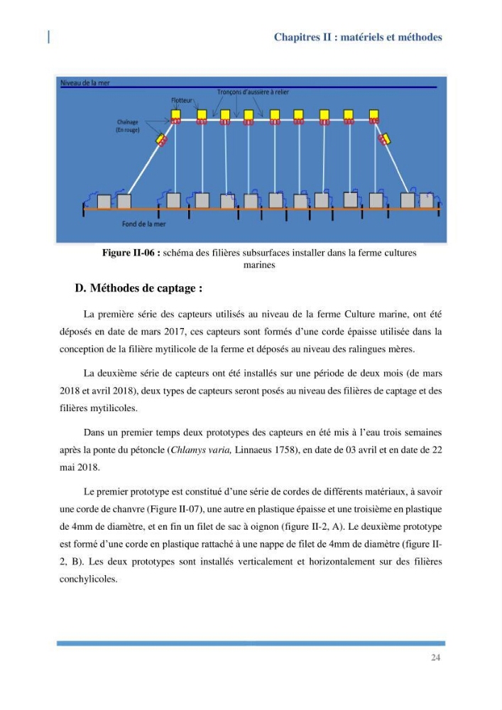 Etude de l’écologie et des Potentialités Aquacoles d’un Mollusque Bivalve Chlamys varia (Linnaeus, 1758) dans la baie de Bou Ismail: