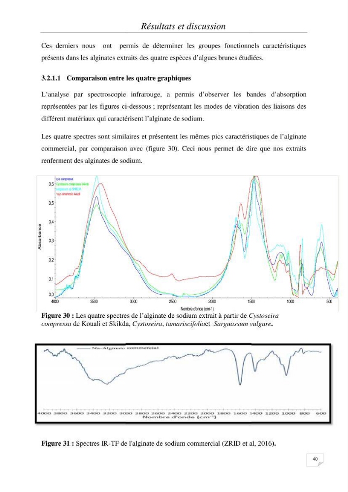 Extraction et identification des alginates à partir d’algues brunes aux possibilités alimentaires et pharmacologiques:
