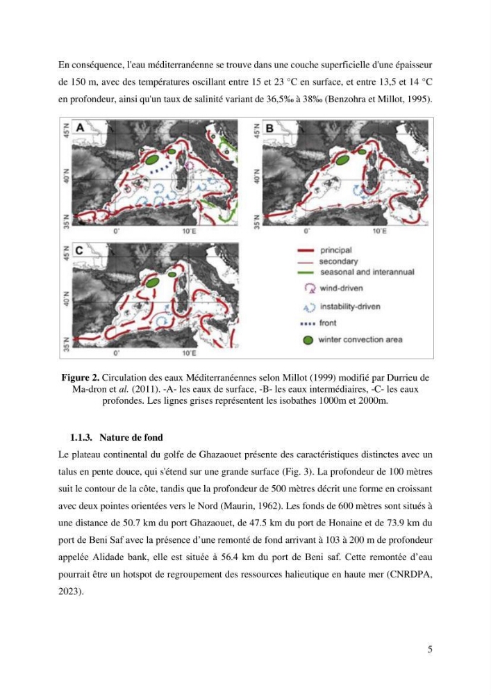 Effet du changement de la sélectivité sur le rendement de la production du rouget de vase Mullus barbatus Linenaeus, 1758 (Actinopteri, Mullidae) dans la baie de Ghazaouet