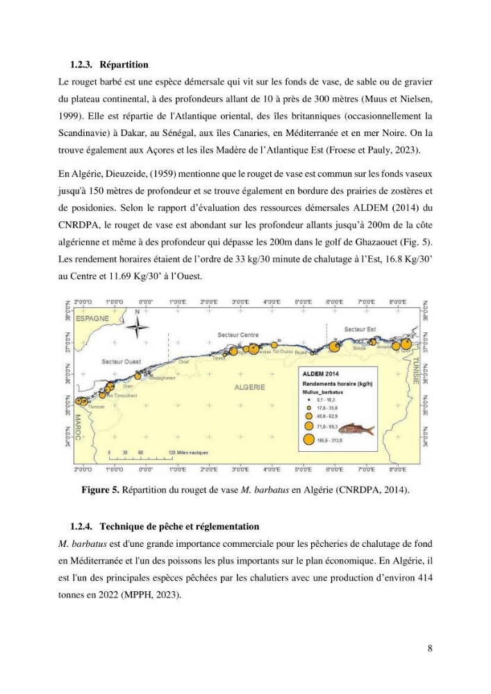 Effet du changement de la sélectivité sur le rendement de la production du rouget de vase Mullus barbatus Linenaeus, 1758 (Actinopteri, Mullidae) dans la baie de Ghazaouet