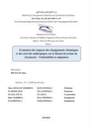 Evaluation des impacts des changements climatiques et des activités anthropiques sur le littoral de la baie de Zemmouri :Vulnérabilité et adaptation