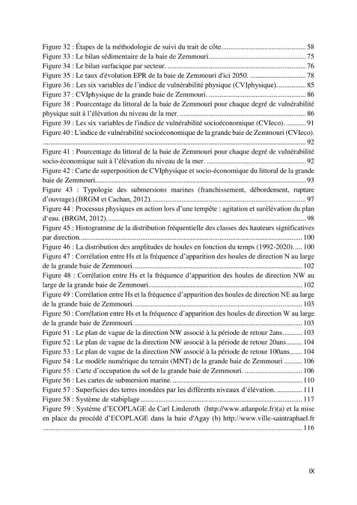 Evaluation des impacts des changements climatiques et des activités anthropiques sur le littoral de la baie de Zemmouri :Vulnérabilité et adaptation