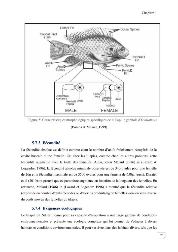 Elevage du Tilapia en système Biofloc effets de différentes sources de carbone sur les paramètres du milieu et les performances zootechniques