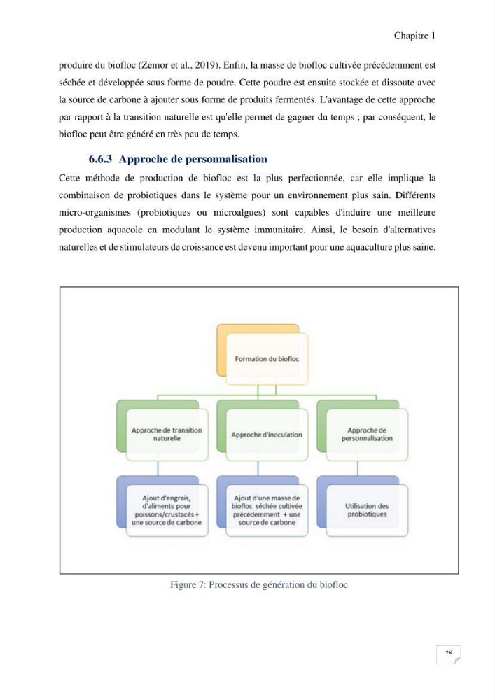 Elevage du Tilapia en système Biofloc effets de différentes sources de carbone sur les paramètres du milieu et les performances zootechniques