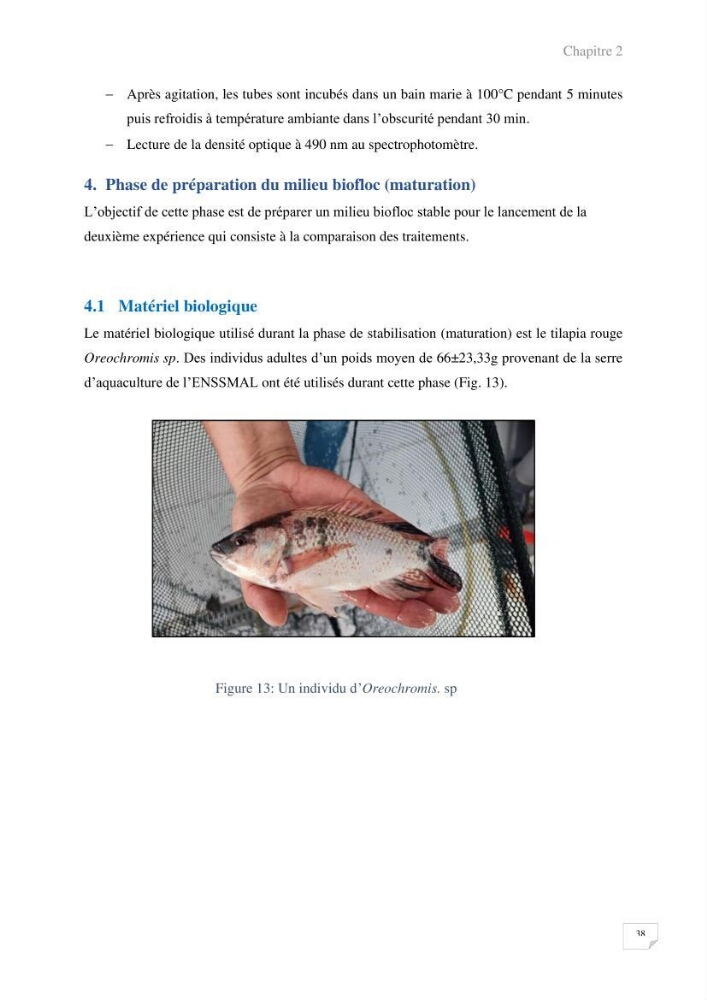 Elevage du Tilapia en système Biofloc effets de différentes sources de carbone sur les paramètres du milieu et les performances zootechniques