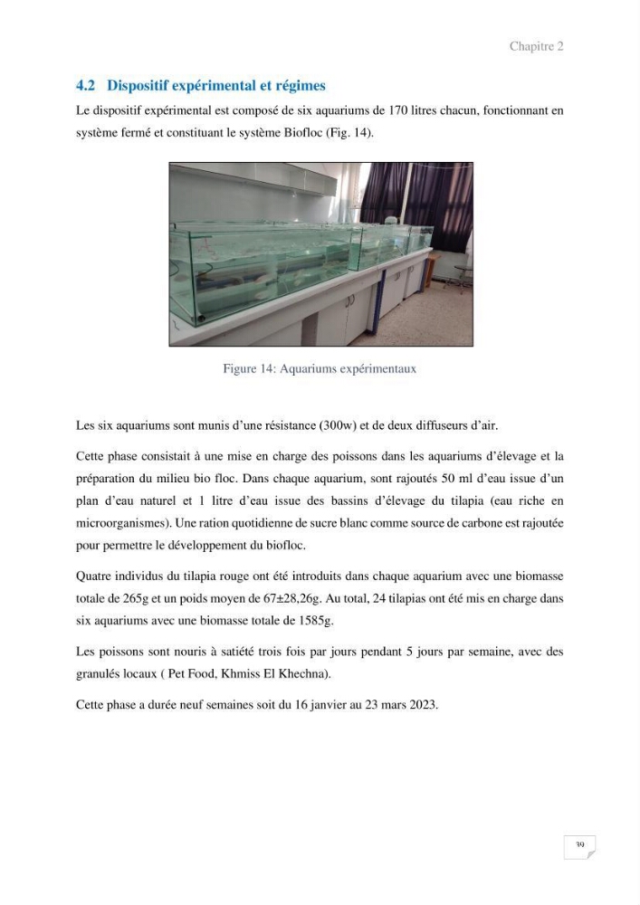 Elevage du Tilapia en système Biofloc effets de différentes sources de carbone sur les paramètres du milieu et les performances zootechniques