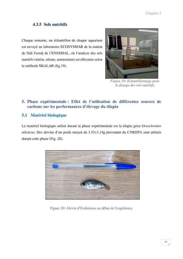 Elevage du Tilapia en système Biofloc effets de différentes sources de carbone sur les paramètres du milieu et les performances zootechniques