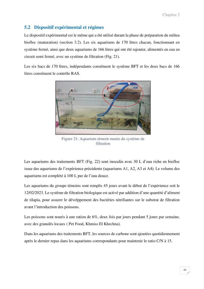 Elevage du Tilapia en système Biofloc effets de différentes sources de carbone sur les paramètres du milieu et les performances zootechniques