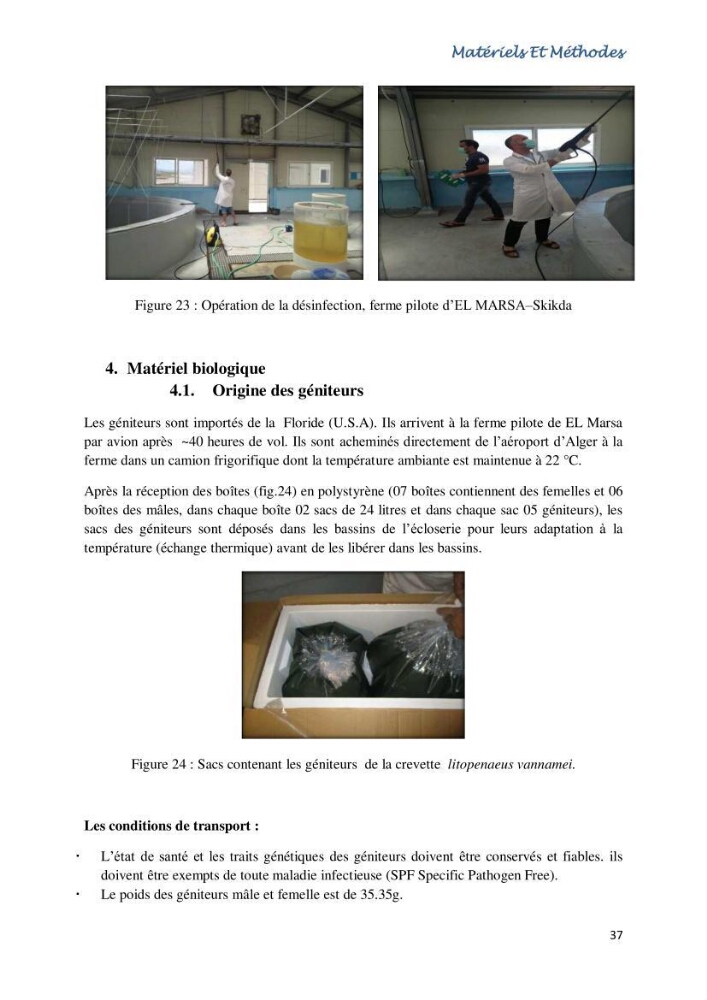 Caracterisation de l\'elevage de la crevette Litopenaeus vannamei ( boone,1931) Ferme Pilote la marsa (Skikda)