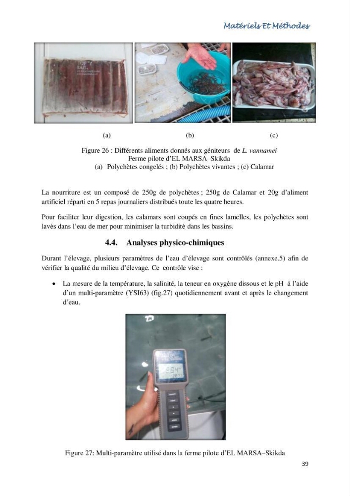 Caracterisation de l\'elevage de la crevette Litopenaeus vannamei ( boone,1931) Ferme Pilote la marsa (Skikda)