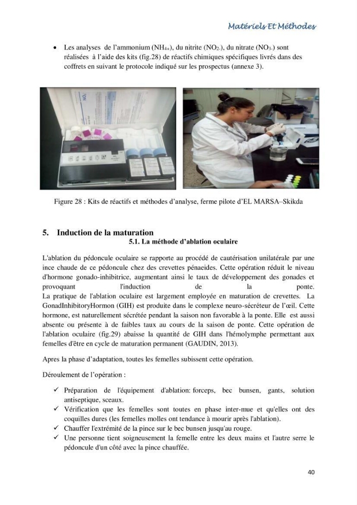 Caracterisation de l\'elevage de la crevette Litopenaeus vannamei ( boone,1931) Ferme Pilote la marsa (Skikda)
