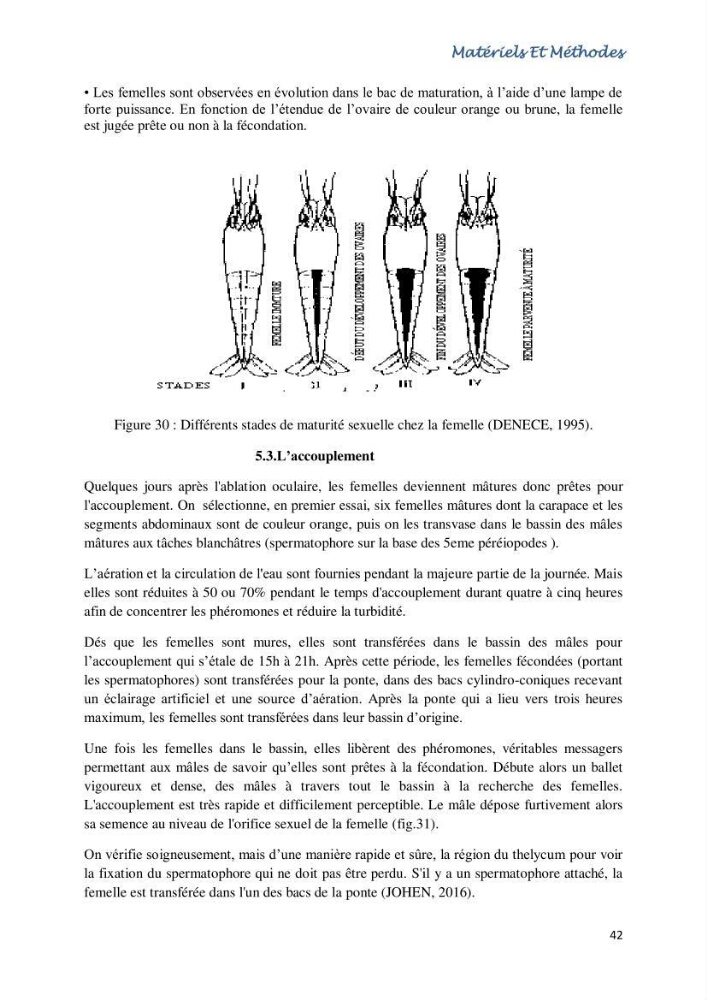 Caracterisation de l\'elevage de la crevette Litopenaeus vannamei ( boone,1931) Ferme Pilote la marsa (Skikda)