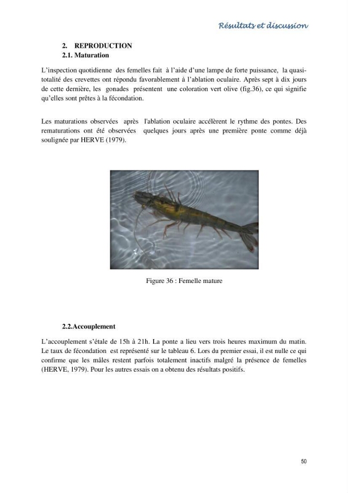 Caracterisation de l\'elevage de la crevette Litopenaeus vannamei ( boone,1931) Ferme Pilote la marsa (Skikda)
